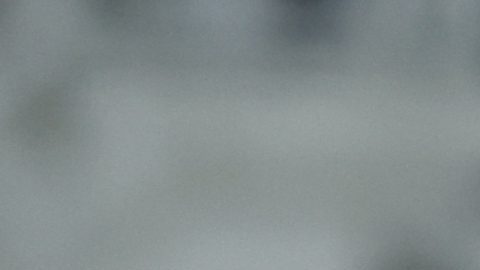 Oussama Idrissi (der.), jugador marroquí del Pachuca, es felicitado tras anotar un golazo que le dio ventaja de 2-1 a la Liga MX sonre la MLS en el primer tiempo del juego de estrellas en Columbus.