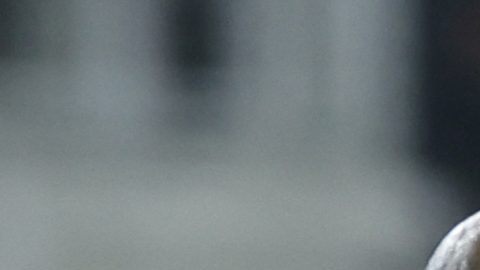Los extranjeros le dieron la victoria al fútbol mexicano.