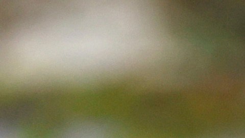 Parte de la delegación mexicana durante la ceremonia inaugural de los Juegos Olímpicos París 2024.