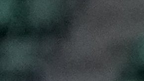 Selección femenina de Canadá.