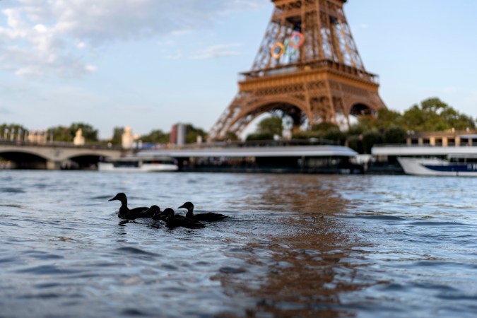 Las autoridades de Francia han invertido una fuerte suma de dinero para poner en condiciones las contaminadas aguas del río Sena de cara a los Juegos Olímpicos París 2024.