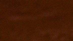 Rafael Nadal y Carlos Alcaraz celebran su triunfo sobre la pareja neerlandesa.