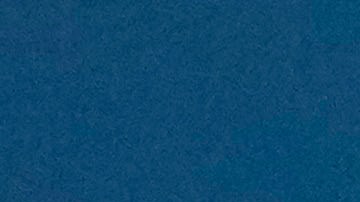 El equipo femenino de gimnasia artística de EE.UU. De izquierda a derecha: Jordan Chiles, Suni Lee, Simone Biles, Hezly Rivera y Jade Carey.