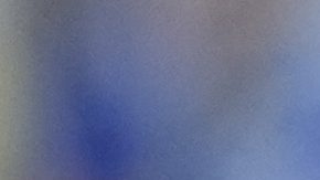 Hermoso minutos antes de ser expulsada del paritdo.