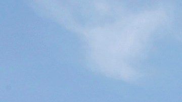 Hollywood puede contribuir a cambiar políticas públicas, según Phenomena Global.