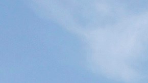 Hollywood puede contribuir a cambiar políticas públicas, según Phenomena Global.