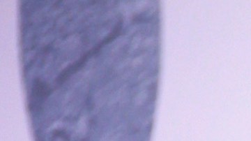 Adele está aprendiendo alemán para sorprender a sus fans de Múnich