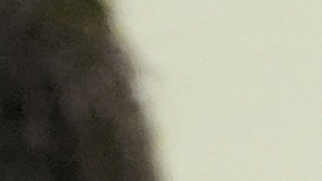 Alec Baldwin llora cuando una jueza desestima el caso ‘Rust’