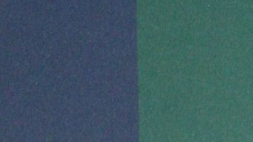 Alessandra Rosaldo reencuentro Victoria Ruffo