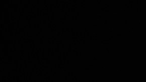 Amazon Prime Day 2024 estafas