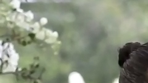 Esposo de Maite Perroni desmiente segundo embarazo