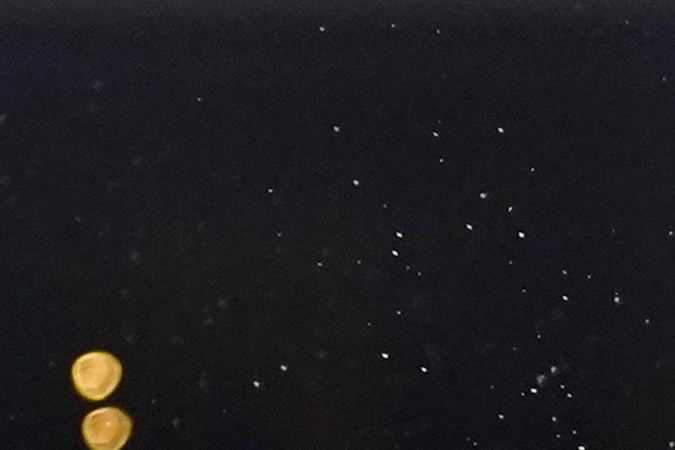 Luis Ortiz y Andy Ruiz Jr.