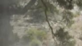 Así rinde la bestial Ford F-150 Tremor 2024