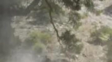 Así rinde la bestial Ford F-150 Tremor 2024