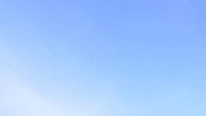 Autobuses en México