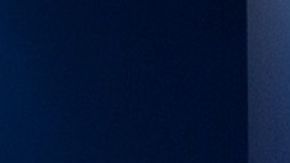 BYD abrirá una planta de vehículos eléctricos en Turquía