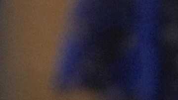 Babydog, mascota que acompaño al gobernador de Virginia