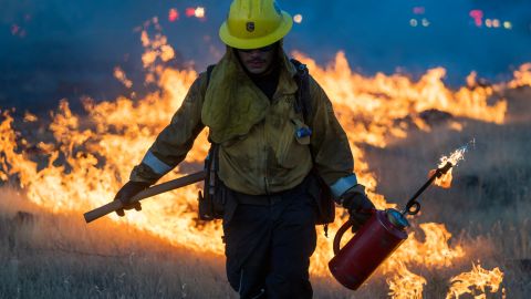 Fire crews light a burn operation along Highway 36 to slow the Park Fire near Dales, Calif., Monday, July 29, 2024. (AP Photo/Nic Coury)