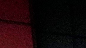 Brad Pitt y su novia Inés de Ramón presumen de amor en público