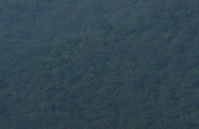 Corbeta de clase Tuo Jiang