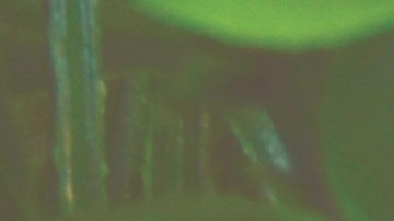 Calendario pagos SNAP