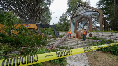 Urban forestry workers remove a redwood tree next to the Wayfarers Chapel, also known as "The Glass Church," in Rancho Palos Verdes, Calif., Wednesday, May 15, 2024. The modernist chapel epitomizes "organic architecture" that seeks to put its glass frame among redwood trees in a redwood grove overlooking the Pacific Ocean. The famed cliffside location on the Palos Verdes Peninsula is also responsible for its downfall. While the Portuguese Bend landslide began in 1956, it's recently worsened, and chapel officials say the earth underneath "The Glass Church" and its surrounding area is now moving an unprecedented 2 feet (0.61 meters) or more each month. (AP Photo/Damian