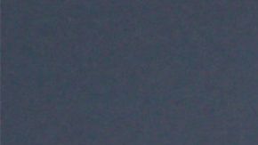 Cardi B bolso costoso