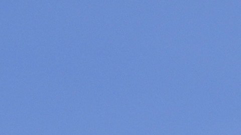 Flowers are seen in front of a home at a residence on Kitty Hawk Road in the City of Alameda, Calif. on Thursday, July 11, 2024. A California man is in custody after fatally shooting his wife, their 6-year-old son and his wife's parents, a San Francisco Bay Area police department said Thursday. (AP Photo/Terry Chea)