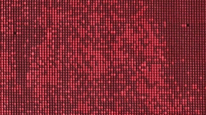 ¿Chiquis Rivera y una boda secreta? Las fotos que desatan rumores