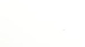 Collins Jumaisi Khalusha