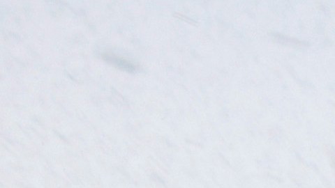 In this Friday, June 5, 2015, photo, Tony Corcoran records sprinklers watering the lawn in front of a house in Beverly Hills, Calif. Corcoran is one of several people who spend their spare time these days canvassing the tony communities of Beverly Hills, West Hollywood and elsewhere, looking for people wasting water during the worst California drought in recent memory. (AP Photo/Jae C. Hong)