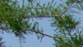 Costco cerrado 4 de julio