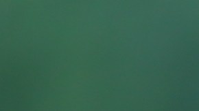 Seguridad Social: $1,537 ó $3,822 dólares en agosto para estas personas con discapacidad