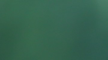 Seguridad Social: $1,537 ó $3,822 dólares en agosto para estas personas con discapacidad