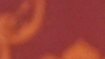 ¡Eddie Murphy y Paige Butcher se casan en una íntima ceremonia!