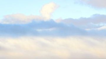 El poder eléctrico del Nissan Ariya Nismo