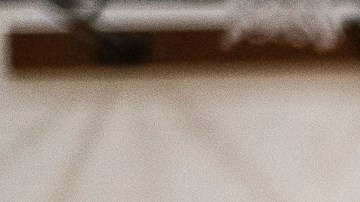 Es mucho lo que está en juego en las elecciones del 5 de noviembre de 2024.