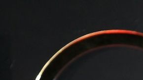 Elizabeth Gutiérrez William levy anuncio