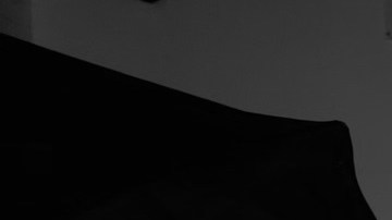 Adrian Eng-Gastelum, Marcela Miranda-Caballero y Sebastián Shulman.