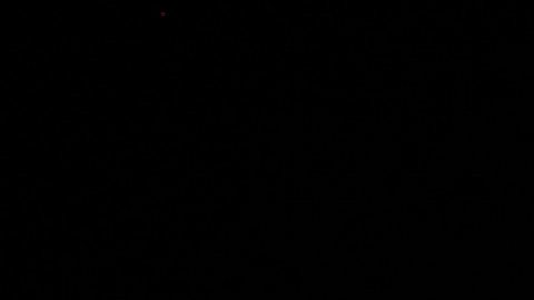 People watch a fireworks show Saturday, July 4, 2009, in Brookfield, Wis. (AP Photo/Morry Gash)