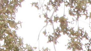 Students at Sequoia High School in Redwood City Calif. make their way bak to class after a special assembly on Thursday, Sept. 18, 2014. During the assembly Facebook gifted 50 laptops to the school and CEO Mark Zuckerberg answered questions in front of hundreds of students as part of Facebook's campaign to encourage students to pursue careers in science, technology, engineering and math or what are otherwise known as STEM fields. (AP Photo/Alex Washburn)