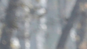 FILE - In this Nov. 17, 2018, file photo, President Donald Trump talks with then California Gov.-elect Gavin Newsom, left, during a visit to a neighborhood impacted by the wildfires in Paradise, Calif. Nearly two years ago President Trump ordered the U.S. Forest Service and the Department of Interior to make federal lands less susceptible to catastrophic wildfires. But the agencies fell short of his goals in 2019, treating a combined 4.3 million acres — just over half of the 8.45 million acres the president sought. It was only slightly better than their average annual performance over nearly two decades, according to government data. (AP Photo/Evan Vucci, File)