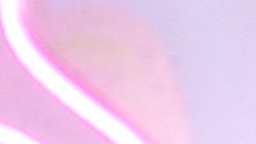 Gomita enfermedad de transmisión sexual