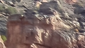 es el segundo excursionista de Texas que muere en el Gran Cañón en las últimas dos semanas.