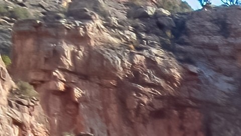 es el segundo excursionista de Texas que muere en el Gran Cañón en las últimas dos semanas.