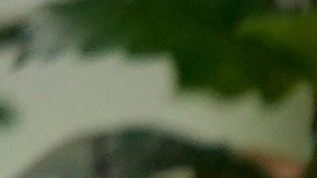 Hunter Biden publica mensaje de apoyo a su padre: "Gracias, señor presidente. Te amo papá"