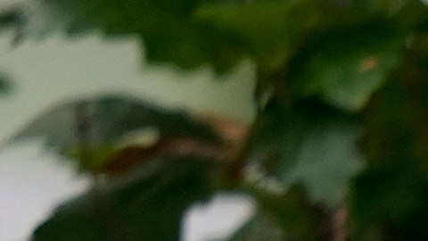 Hunter Biden publica mensaje de apoyo a su padre: "Gracias, señor presidente. Te amo papá"