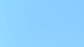 Los vendedores ambulantes se anotaron una gran victoria en Los Ángeles.