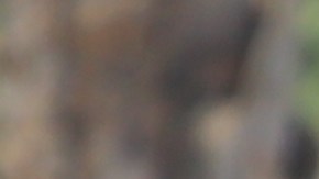 Ella era mi única bebé”: Anginette Morgan, madre de la chica asesinada en la intersección de la Avenida e Imperial Highway, en el sur de Los Ángeles.