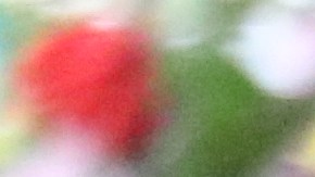 En 2021 eran 3.5 millones de inmigrante vivían en el condado de Los Ángeles, y de ellos, el 18% eran naturalizados estadounidenses; el 9% eran residentes legales y 8% indocumentados